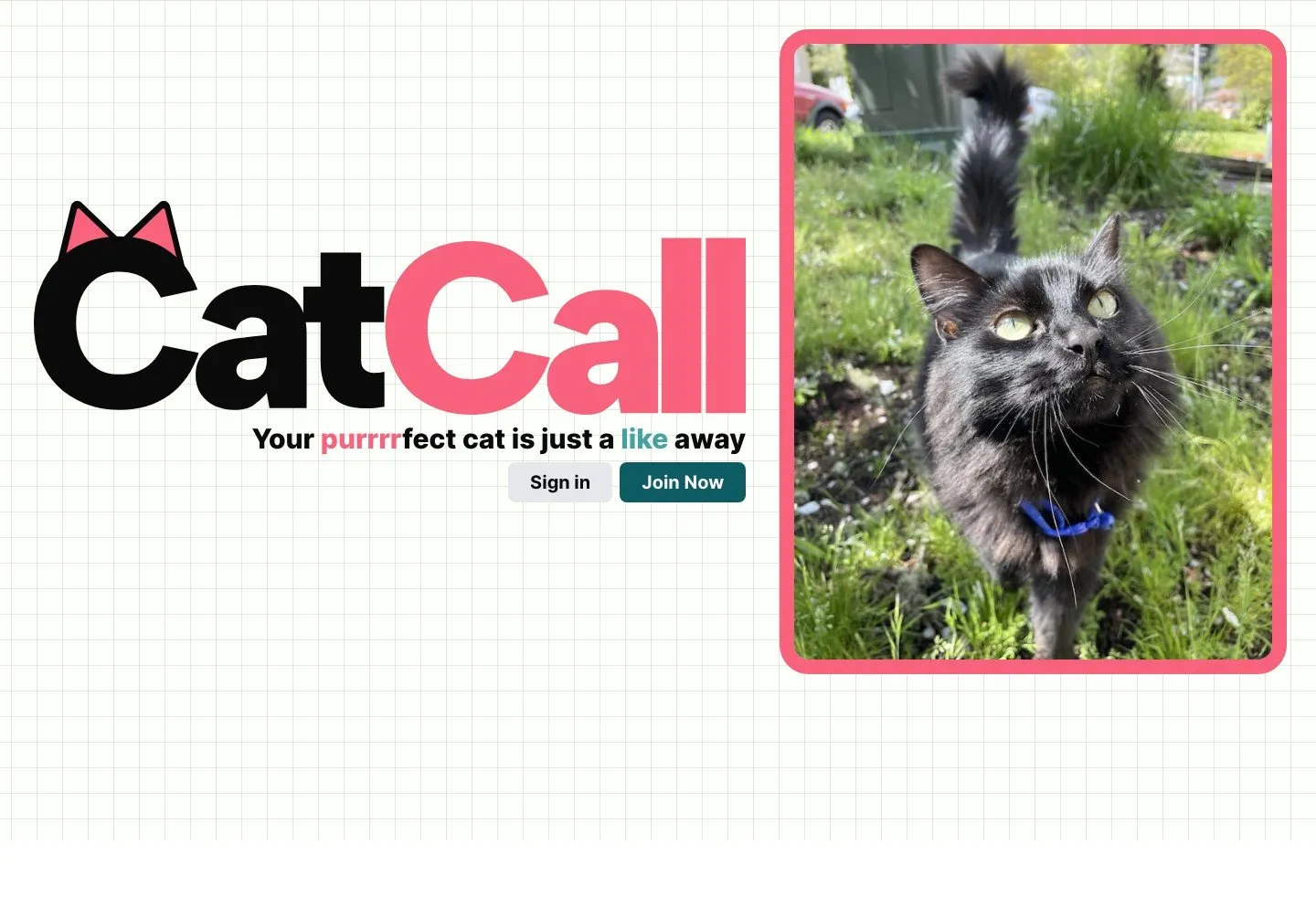 CatCall