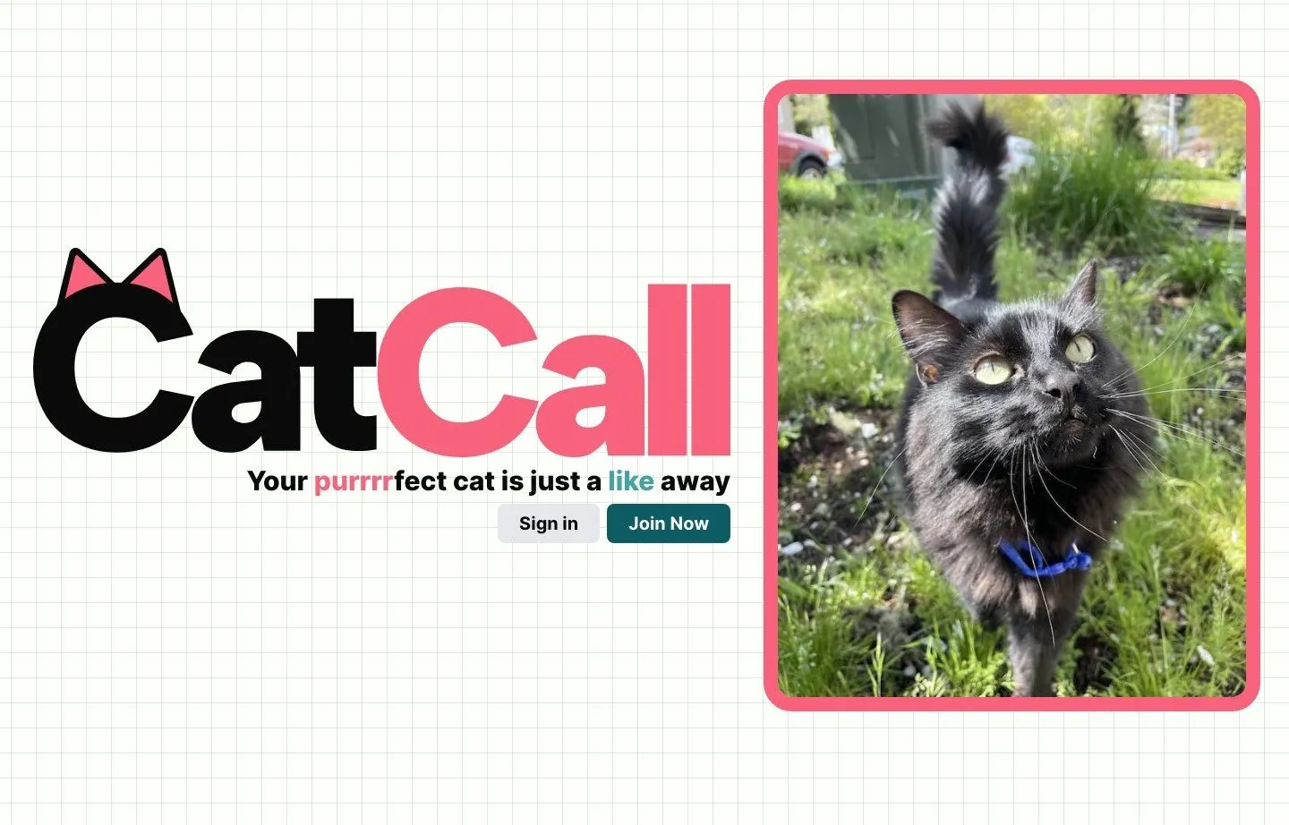 CatCall
